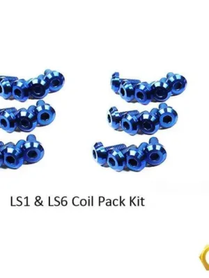 LS1 - LS6 Titanium Dress Up Bolts Coil Pack Kit (Corvette, Camaro, Trans AM, GTO)