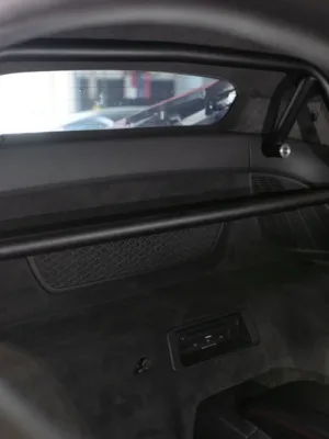 Titan Motorsports R8/Huracan Roll bar