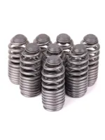 Skunk2 Lost Motion Assembly Springs 99-00 Honda Civic Si B-Series