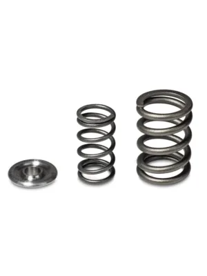 Alpha Series Valve Spring and Titanium Retainer Kit Honda F/H-Series VTEC Engines