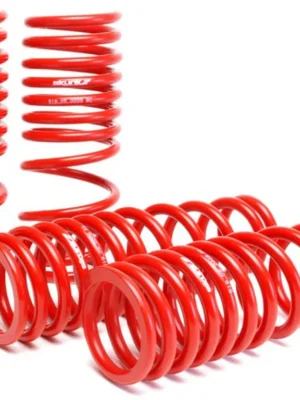 Skunk2 Lowering Springs Red 92-95 Honda Civic
