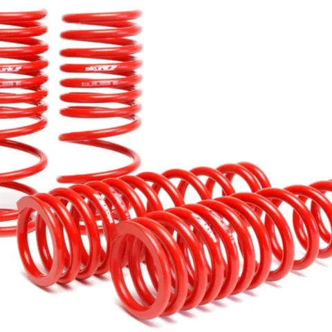 Skunk2 Lowering Springs Red 92-95 Honda Civic