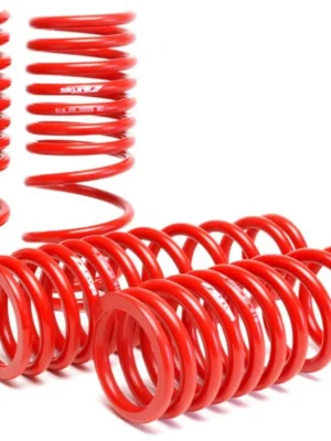 Skunk2 Lowering Springs Red 96-00 Honda Civic
