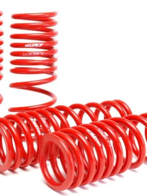 Skunk2 Lowering Springs Red 94-01 Acura Integra