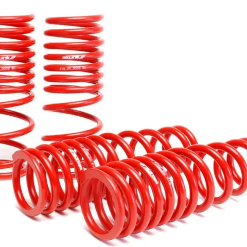 Skunk2 Lowering Springs Red 94-01 Acura Integra