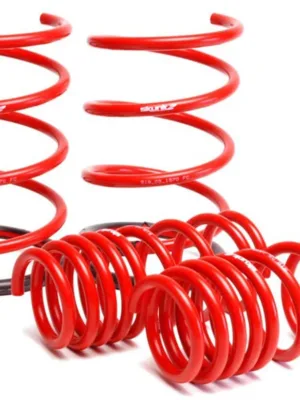 Skunk2 Lowering Springs Red 01-05 Honda Civic