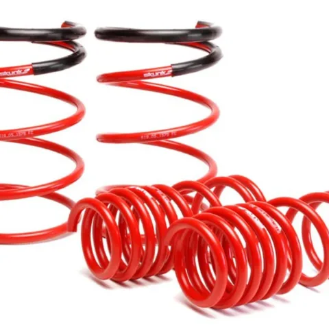 Skunk2 Lowering Springs Red 02-05 Honda Civic Si