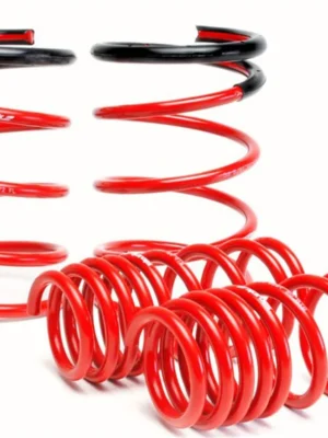 Skunk2 Lowering Springs Red 02-04 Acura RSX