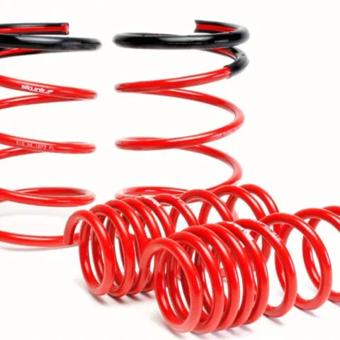 Skunk2 Lowering Springs Red 02-04 Acura RSX