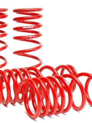 Skunk2 Lowering Springs Red 00-09 Honda S2000