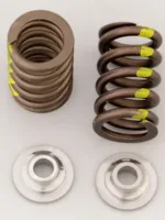 Crane Valve Springs and retainer SRT4