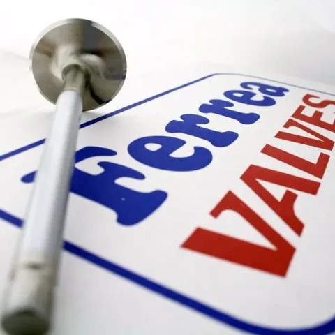 Valves for 21° Flo. +1 mm o/s. Super Alloy. Turbo Applications